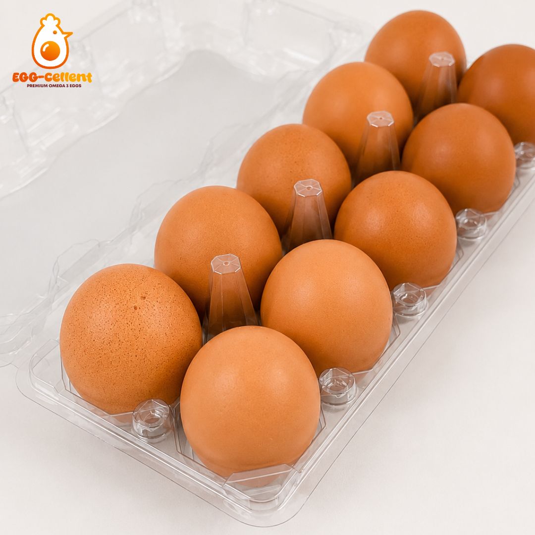 Foto Telur Omega